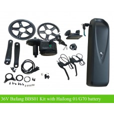 Bafang BBS02B kit 48V 500W/750W with 48V Hailong 01/G70 battery