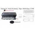 48V-17AH-hailong-g70-batteries