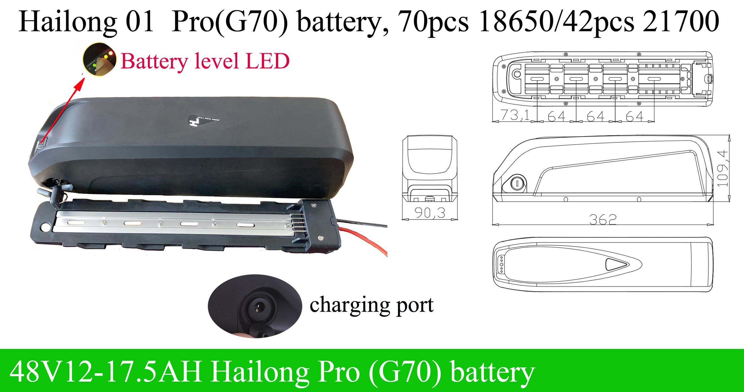 Hailong Electric Bike Battery 48V 12Ah/14.5Ah/17.5Ah Lithium Ion Battery with USB Port Charger Frame Mounted Battery