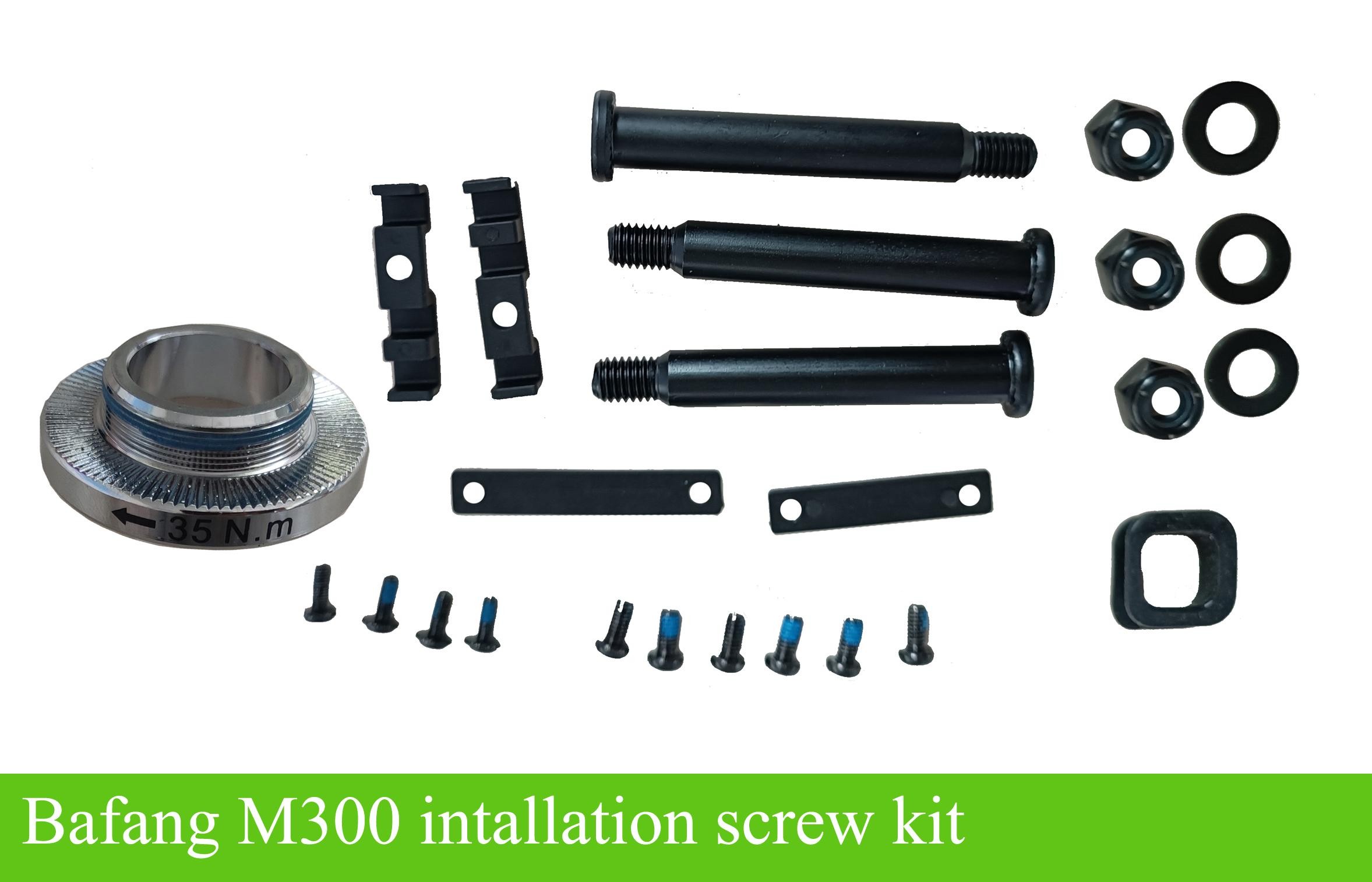 Bafang M300 motor installation bolts/screw