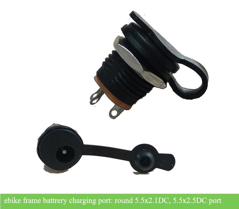 Electric bike charger sale plug